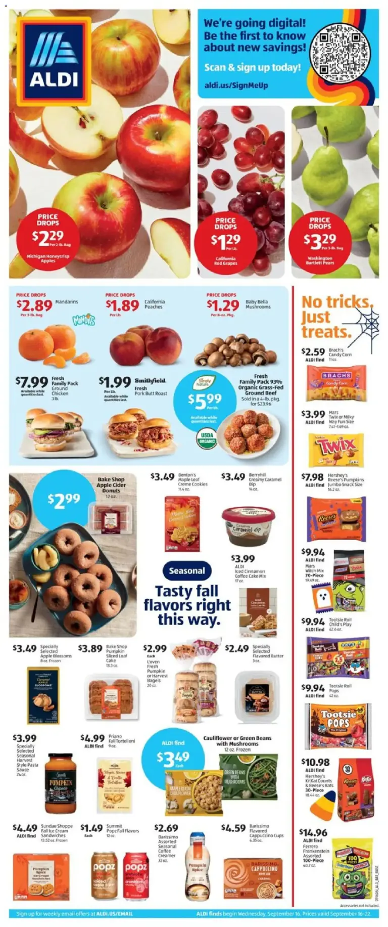 Aldi Weekly Ad 09/16 - 09/22 2026